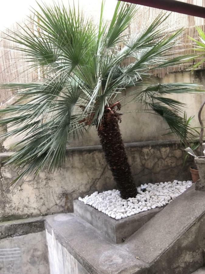 Nice Grand Appartement Face Jardin מראה חיצוני תמונה
